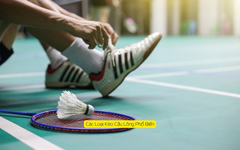 Các Loại Kèo Cầu Lông Phổ Biến