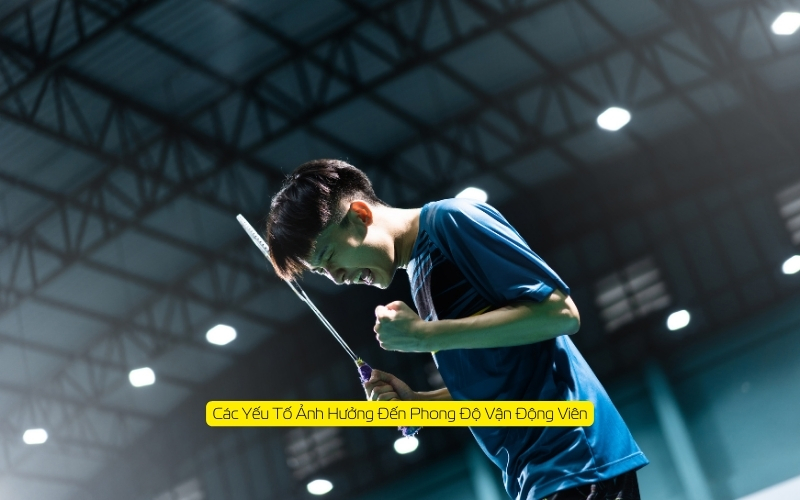 Các Yếu Tố Ảnh Hưởng Đến Phong Độ Vận Động Viên
