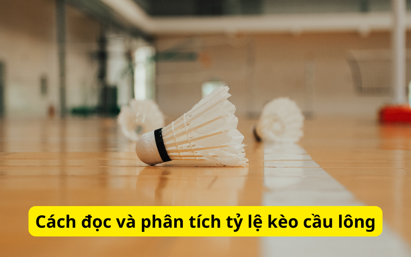 Cách đọc và phân tích tỷ lệ kèo cầu lông