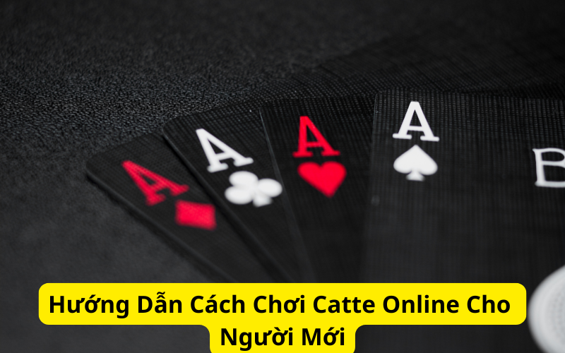 Hướng Dẫn Cách Chơi Catte Online Cho Người Mới