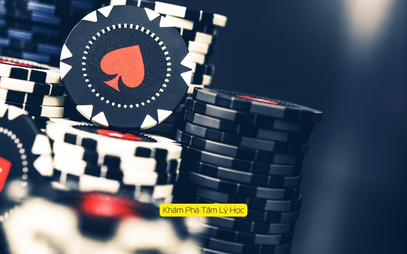 Khám Phá Tâm Lý Học