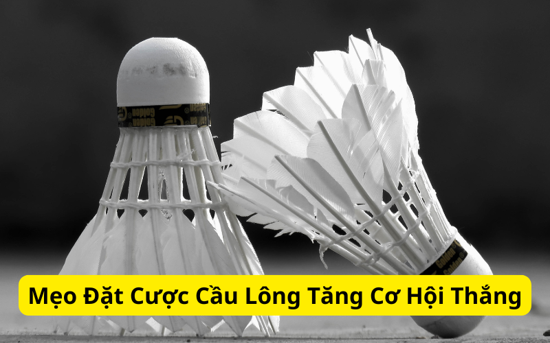 Mẹo Đặt Cược Cầu Lông Tăng Cơ Hội Thắng