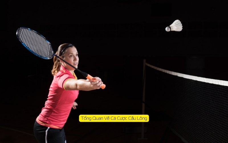 Tổng Quan Về Cá Cược Cầu Lông
