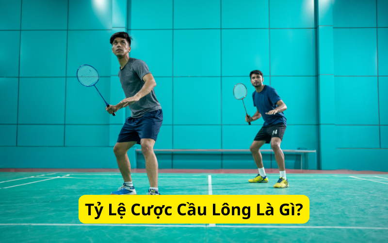 Tỷ Lệ Cược Cầu Lông Là Gì?