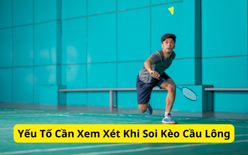 Yếu Tố Cần Xem Xét Khi Soi Kèo Cầu Lông