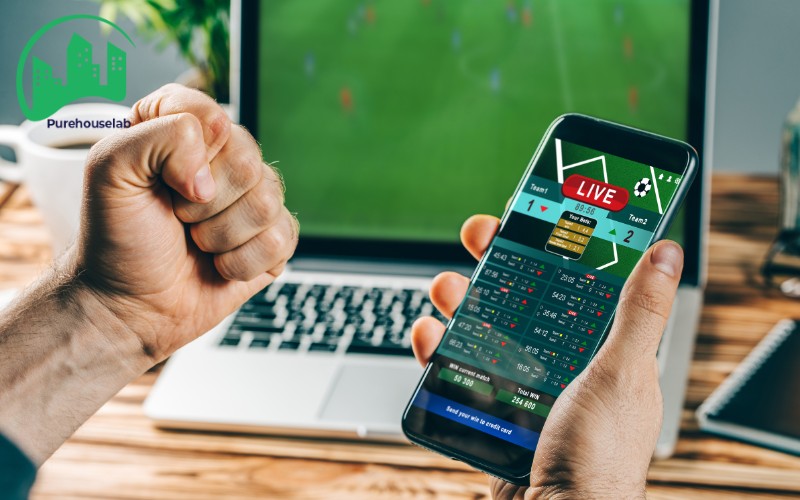 mẹo cá cược tại purehouselab.org