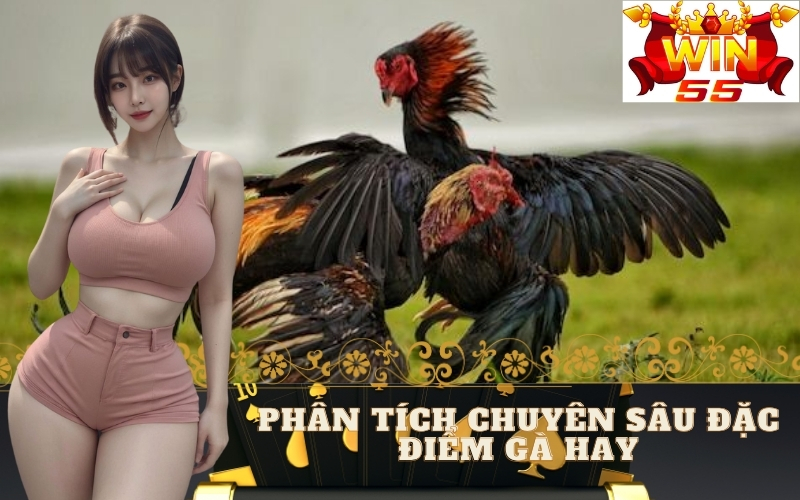 Phân Tích Chuyên Sâu Đặc Điểm Gà Hay