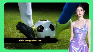 Biến động kèo LIVE