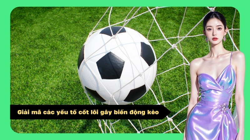 Giải mã các yếu tố cốt lõi gây biến động kèo