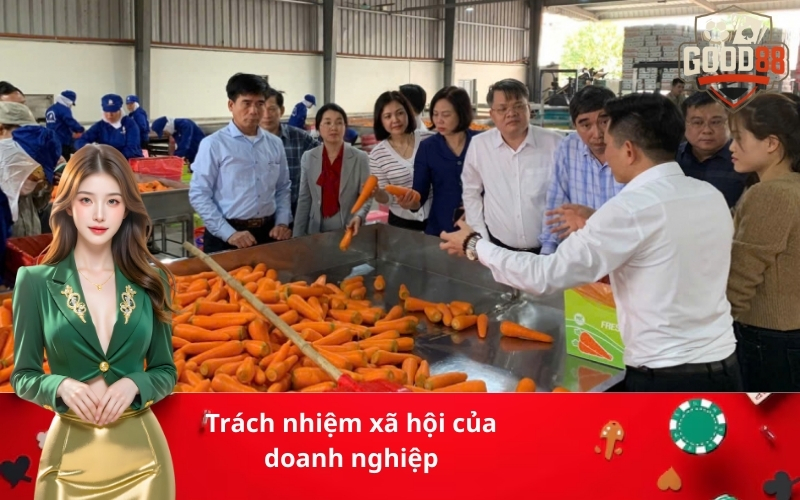 Trách nhiệm xã hội của doanh nghiệp