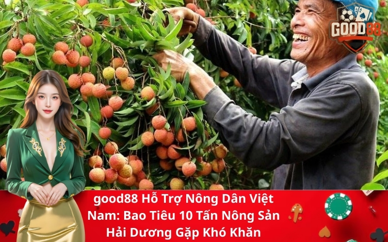good88 Hỗ Trợ Nông Dân Việt Nam Bao Tiêu 10 Tấn Nông Sản Hải Dương Gặp Khó Khăn