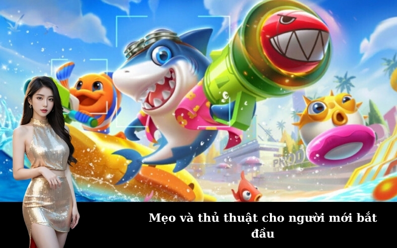 Mẹo và thủ thuật cho người mới bắt đầu